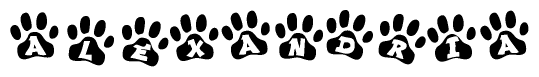 The image shows a series of animal paw prints arranged horizontally. Within each paw print, there's a letter; together they spell Alexandria