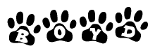 The image shows a series of animal paw prints arranged in a horizontal line. Each paw print contains a letter, and together they spell out the word Boyd.