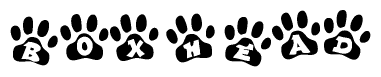 The image shows a row of animal paw prints, each containing a letter. The letters spell out the word Boxhead within the paw prints.