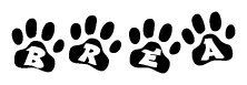 The image shows a series of animal paw prints arranged in a horizontal line. Each paw print contains a letter, and together they spell out the word Brea.
