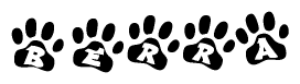 The image shows a row of animal paw prints, each containing a letter. The letters spell out the word Berra within the paw prints.