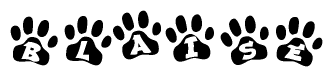The image shows a series of animal paw prints arranged in a horizontal line. Each paw print contains a letter, and together they spell out the word Blaise.