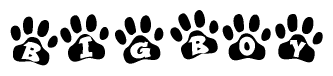 The image shows a series of animal paw prints arranged horizontally. Within each paw print, there's a letter; together they spell Bigboy