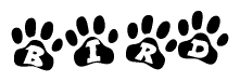 The image shows a series of animal paw prints arranged horizontally. Within each paw print, there's a letter; together they spell Bird