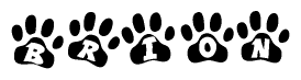 The image shows a series of animal paw prints arranged horizontally. Within each paw print, there's a letter; together they spell Brion