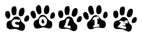 The image shows a series of animal paw prints arranged horizontally. Within each paw print, there's a letter; together they spell Colie