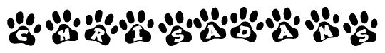 The image shows a series of animal paw prints arranged in a horizontal line. Each paw print contains a letter, and together they spell out the word Chrisadams.