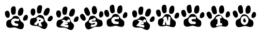The image shows a row of animal paw prints, each containing a letter. The letters spell out the word Crescencio within the paw prints.