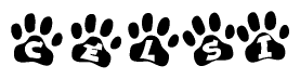 The image shows a row of animal paw prints, each containing a letter. The letters spell out the word Celsi within the paw prints.