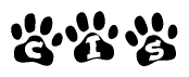 The image shows a series of animal paw prints arranged in a horizontal line. Each paw print contains a letter, and together they spell out the word Cis.