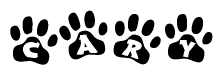 The image shows a series of animal paw prints arranged horizontally. Within each paw print, there's a letter; together they spell Cary