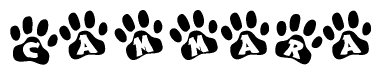 The image shows a series of animal paw prints arranged horizontally. Within each paw print, there's a letter; together they spell Cammara