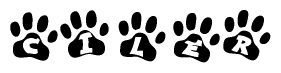   The image shows a row of animal paw prints, each containing a letter. The letters spell out the word Ciler within the paw prints. 