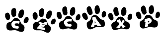 The image shows a row of animal paw prints, each containing a letter. The letters spell out the word Cecaxp within the paw prints.