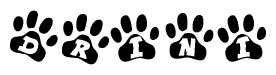 The image shows a series of animal paw prints arranged horizontally. Within each paw print, there's a letter; together they spell Drini