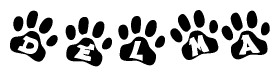 The image shows a series of animal paw prints arranged in a horizontal line. Each paw print contains a letter, and together they spell out the word Delma.
