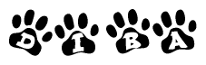 The image shows a series of animal paw prints arranged horizontally. Within each paw print, there's a letter; together they spell Diba