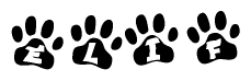The image shows a row of animal paw prints, each containing a letter. The letters spell out the word Elif within the paw prints.