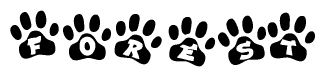 The image shows a row of animal paw prints, each containing a letter. The letters spell out the word Forest within the paw prints.