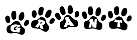 The image shows a series of animal paw prints arranged horizontally. Within each paw print, there's a letter; together they spell Grant