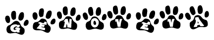 The image shows a row of animal paw prints, each containing a letter. The letters spell out the word Genoveva within the paw prints.