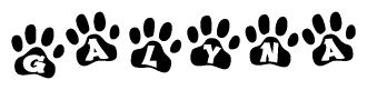 The image shows a series of animal paw prints arranged in a horizontal line. Each paw print contains a letter, and together they spell out the word Galyna.