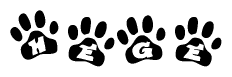 The image shows a row of animal paw prints, each containing a letter. The letters spell out the word Hege within the paw prints.