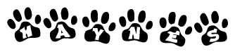 The image shows a row of animal paw prints, each containing a letter. The letters spell out the word Haynes within the paw prints.