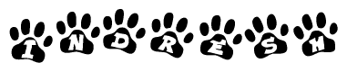 The image shows a series of animal paw prints arranged in a horizontal line. Each paw print contains a letter, and together they spell out the word Indresh.