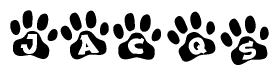 The image shows a series of animal paw prints arranged in a horizontal line. Each paw print contains a letter, and together they spell out the word Jacqs.