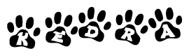The image shows a row of animal paw prints, each containing a letter. The letters spell out the word Kedra within the paw prints.