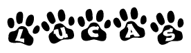 The image shows a row of animal paw prints, each containing a letter. The letters spell out the word Lucas within the paw prints.