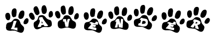 The image shows a row of animal paw prints, each containing a letter. The letters spell out the word Lavender within the paw prints.