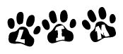 The image shows a series of animal paw prints arranged in a horizontal line. Each paw print contains a letter, and together they spell out the word Lim.