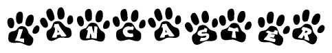 The image shows a series of animal paw prints arranged in a horizontal line. Each paw print contains a letter, and together they spell out the word Lancaster.