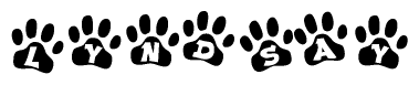 The image shows a series of animal paw prints arranged horizontally. Within each paw print, there's a letter; together they spell Lyndsay