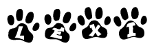 Animal Paw Prints with Lexi Lettering