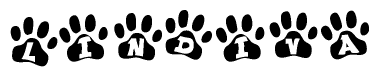 The image shows a row of animal paw prints, each containing a letter. The letters spell out the word Lindiva within the paw prints.