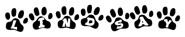 The image shows a series of animal paw prints arranged in a horizontal line. Each paw print contains a letter, and together they spell out the word Lindsay.