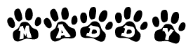 The image shows a series of animal paw prints arranged horizontally. Within each paw print, there's a letter; together they spell Maddy