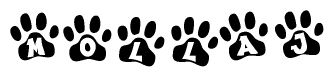 The image shows a series of animal paw prints arranged in a horizontal line. Each paw print contains a letter, and together they spell out the word Mollaj.