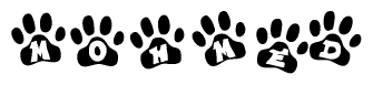 The image shows a series of animal paw prints arranged horizontally. Within each paw print, there's a letter; together they spell Mohmed