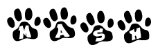 The image shows a series of animal paw prints arranged in a horizontal line. Each paw print contains a letter, and together they spell out the word Mash.