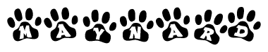 The image shows a series of animal paw prints arranged horizontally. Within each paw print, there's a letter; together they spell Maynard