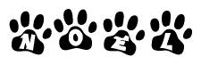 The image shows a series of animal paw prints arranged in a horizontal line. Each paw print contains a letter, and together they spell out the word Noel.