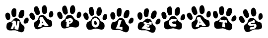 The image shows a row of animal paw prints, each containing a letter. The letters spell out the word Napolecats within the paw prints.
