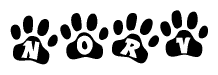 The image shows a row of animal paw prints, each containing a letter. The letters spell out the word Norv within the paw prints.