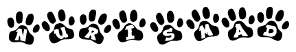 The image shows a row of animal paw prints, each containing a letter. The letters spell out the word Nurismad within the paw prints.