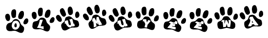 The image shows a series of animal paw prints arranged in a horizontal line. Each paw print contains a letter, and together they spell out the word Olumuyeewa.