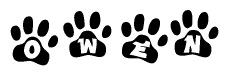 The image shows a series of animal paw prints arranged in a horizontal line. Each paw print contains a letter, and together they spell out the word Owen.